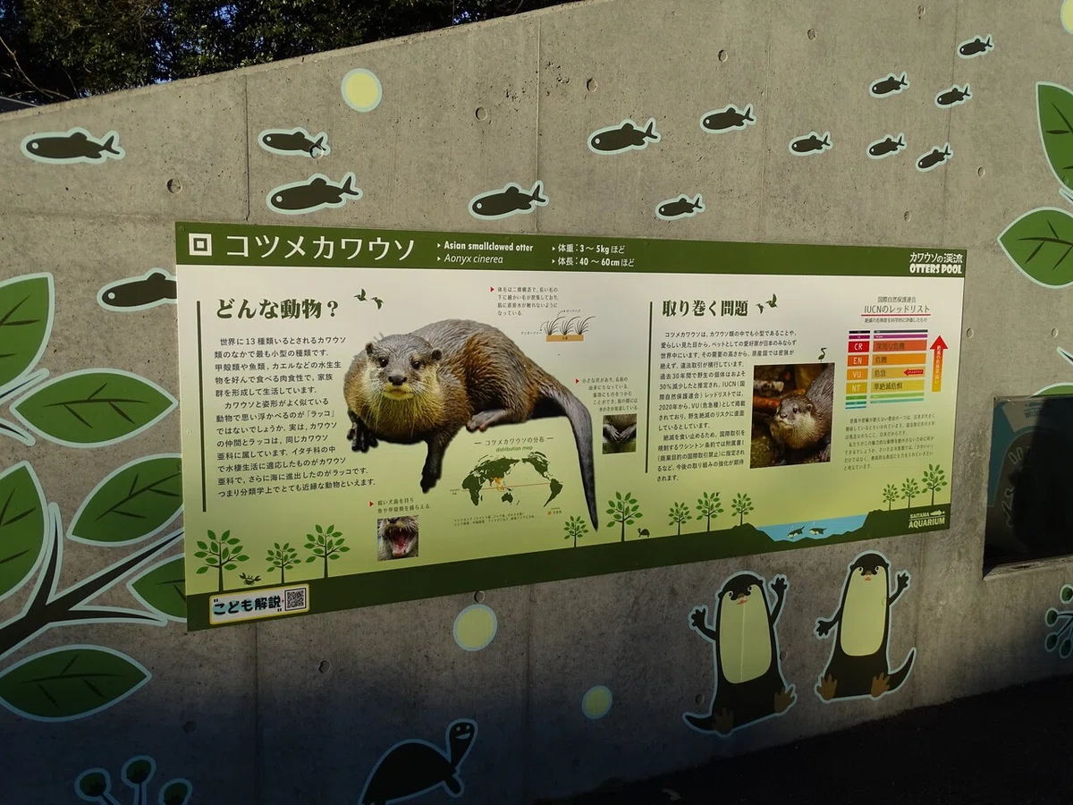 画像30