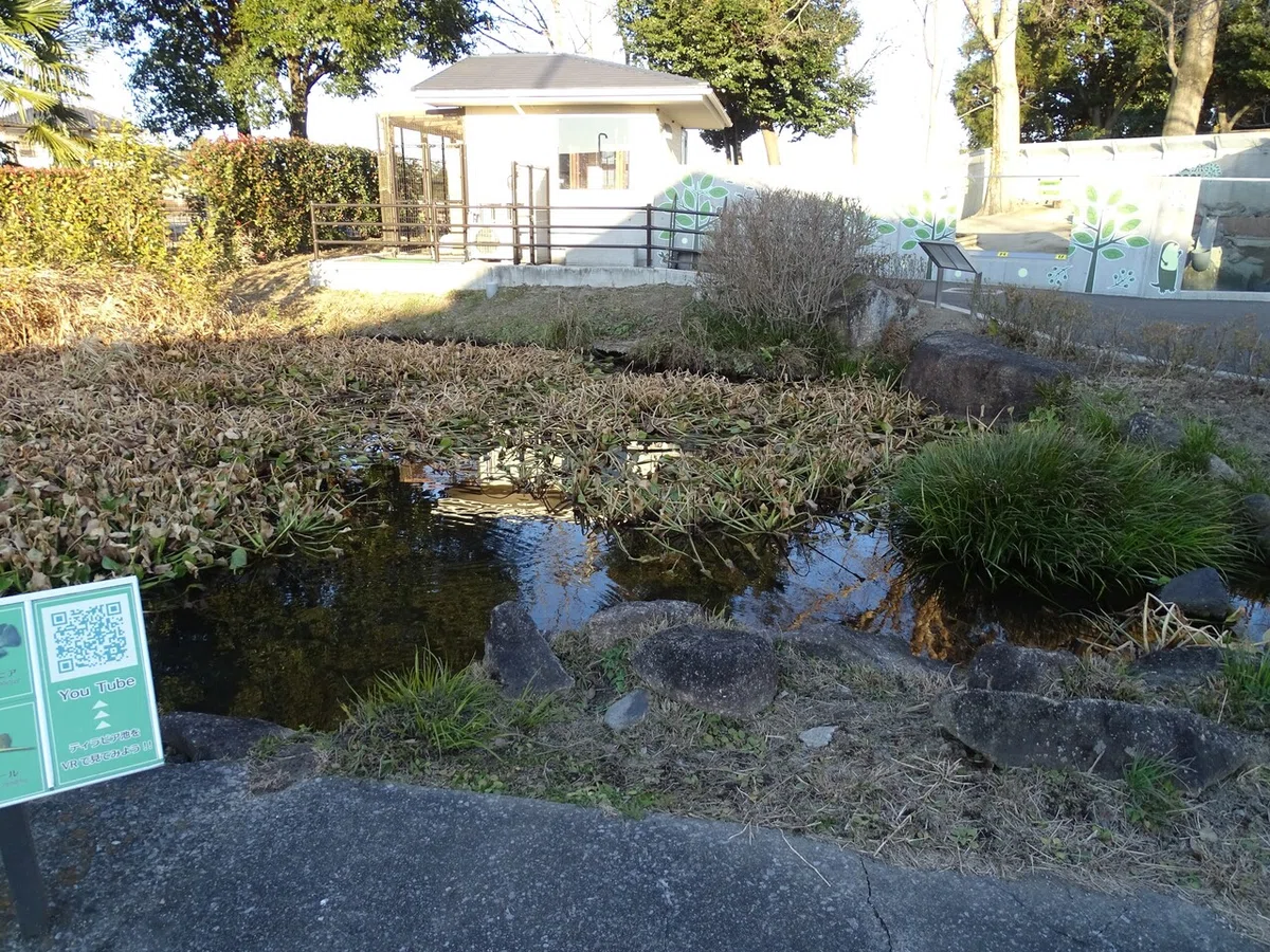 画像32