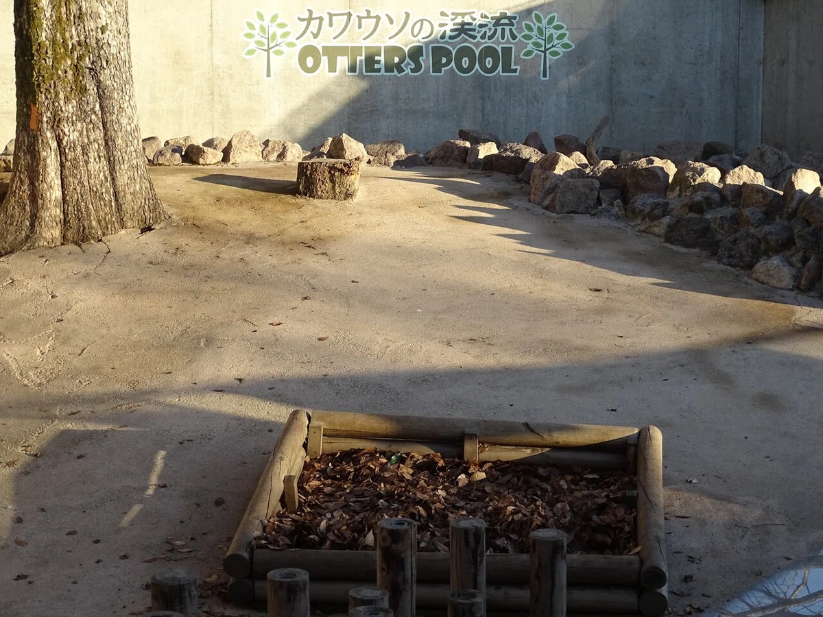 画像28