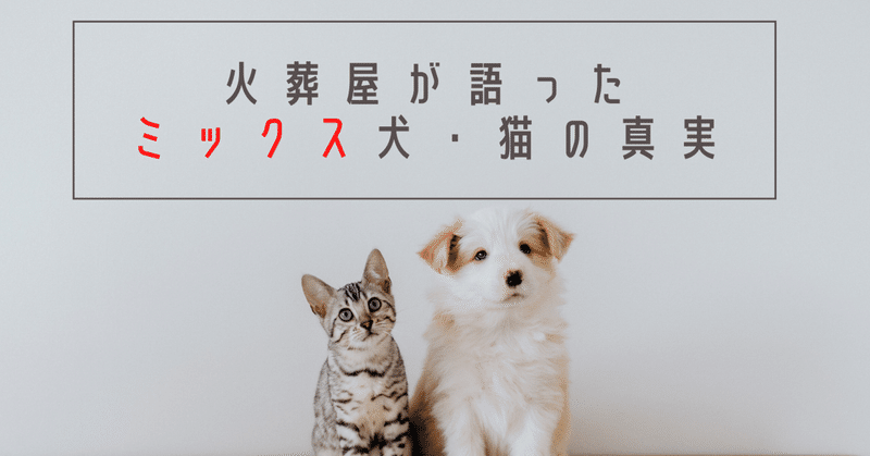 ミックス犬 猫ってかわいそう 火葬屋が語った真実とは ペットの実家 優良ブリーダー直販 Note ミックス犬 猫ってかわいそう 火葬屋が語った真実とは ペットの実家 優良ブリーダー直販 Note