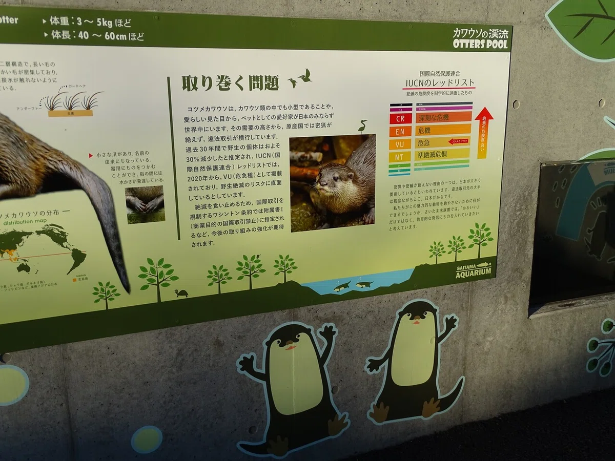 画像38