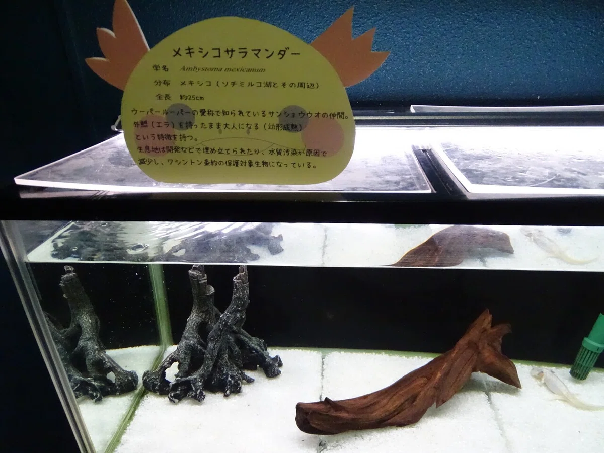 画像62
