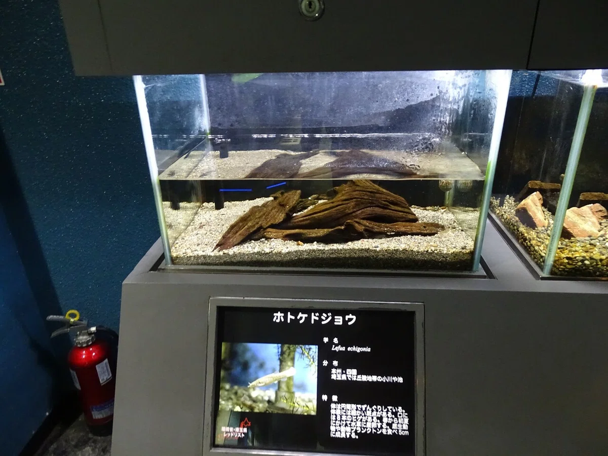 画像67