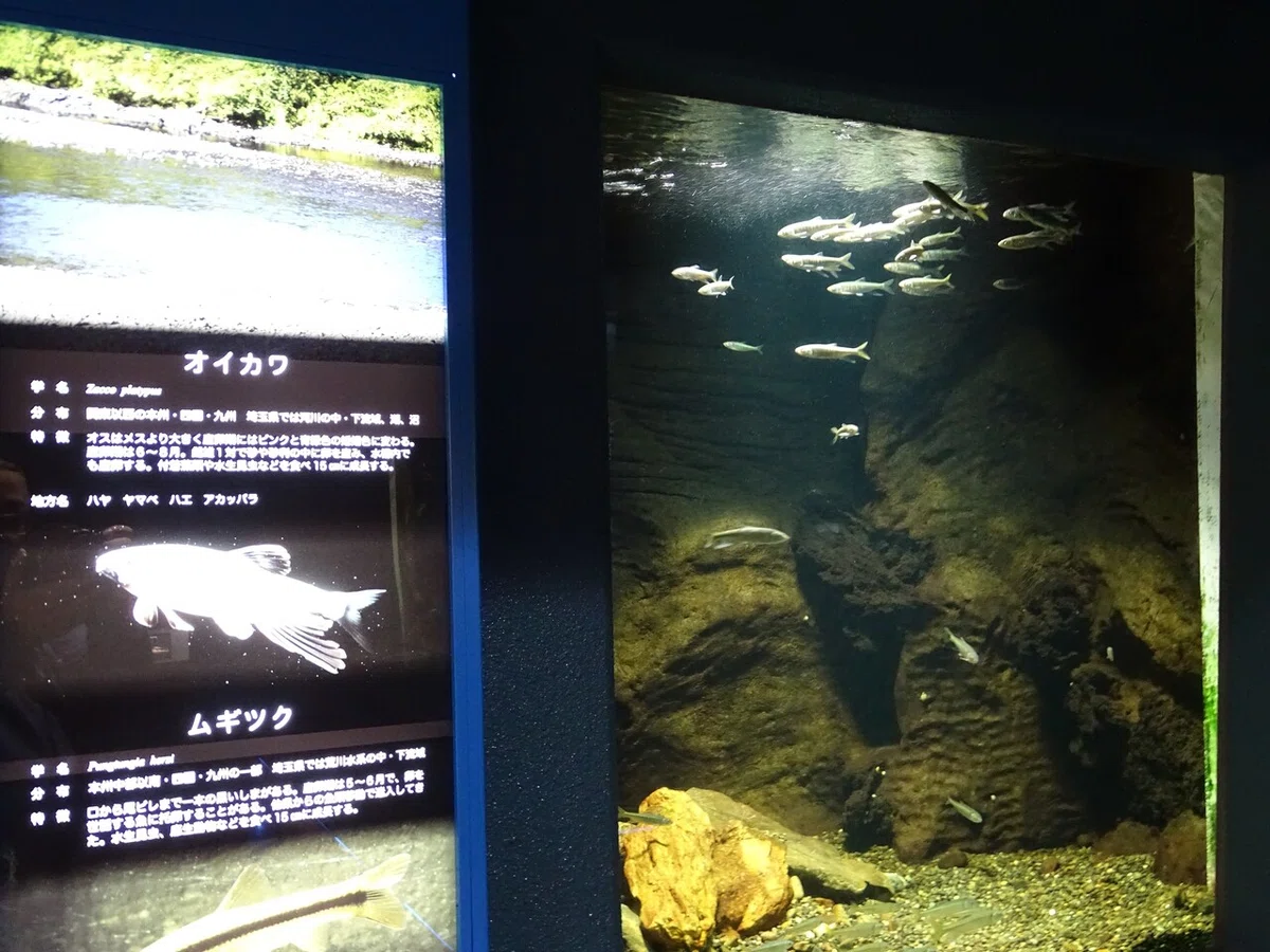画像53
