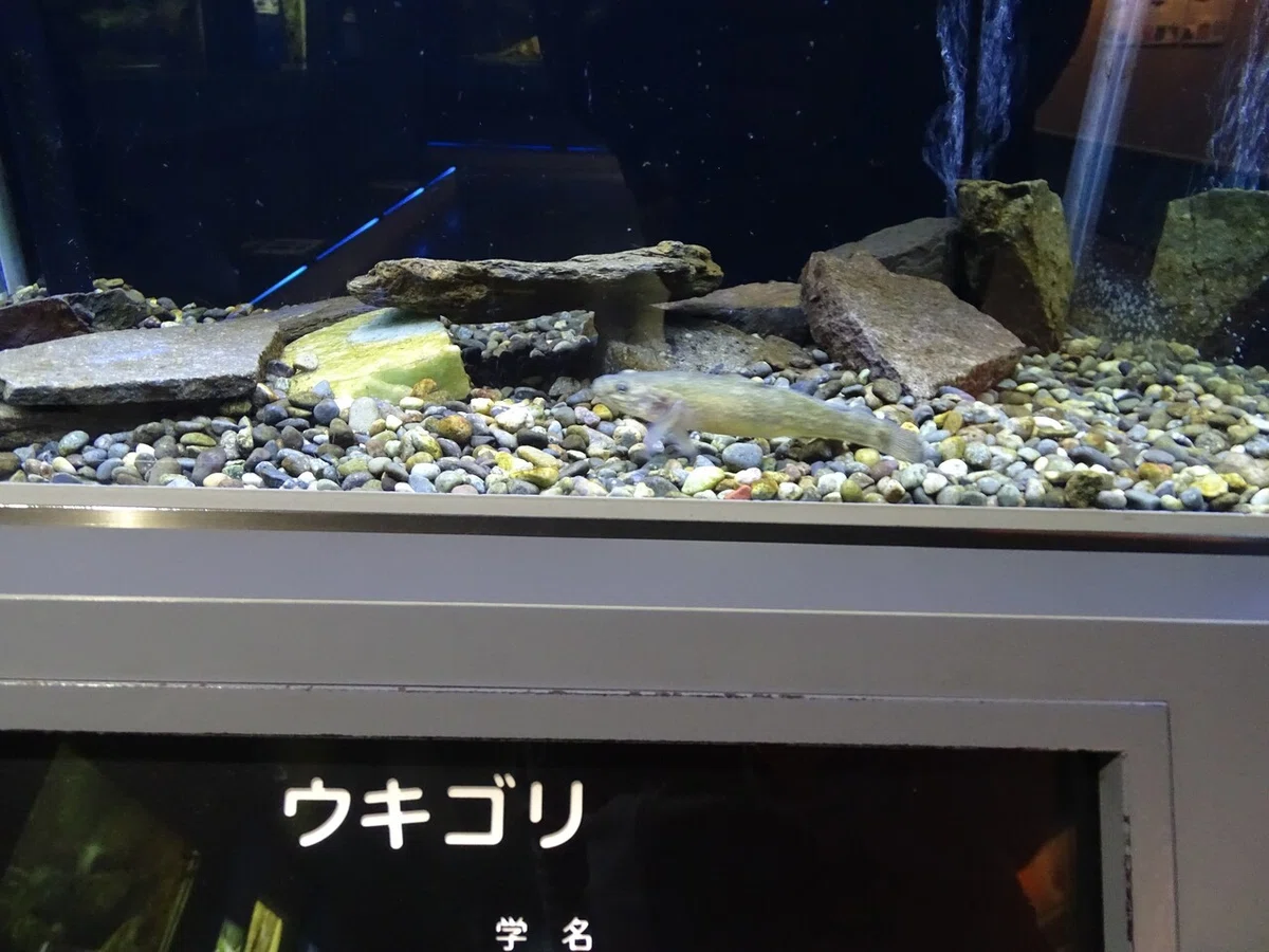 画像73