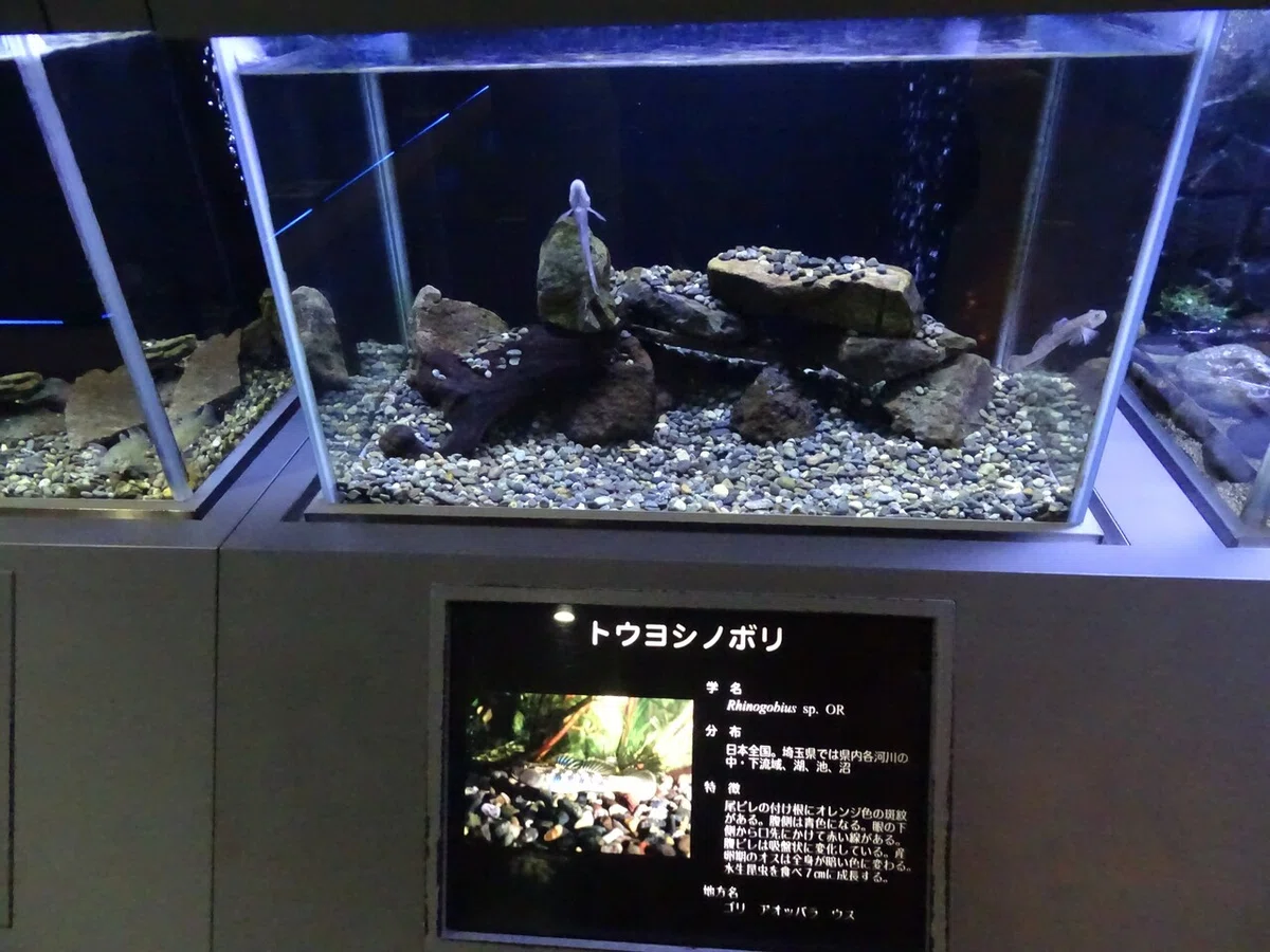画像72