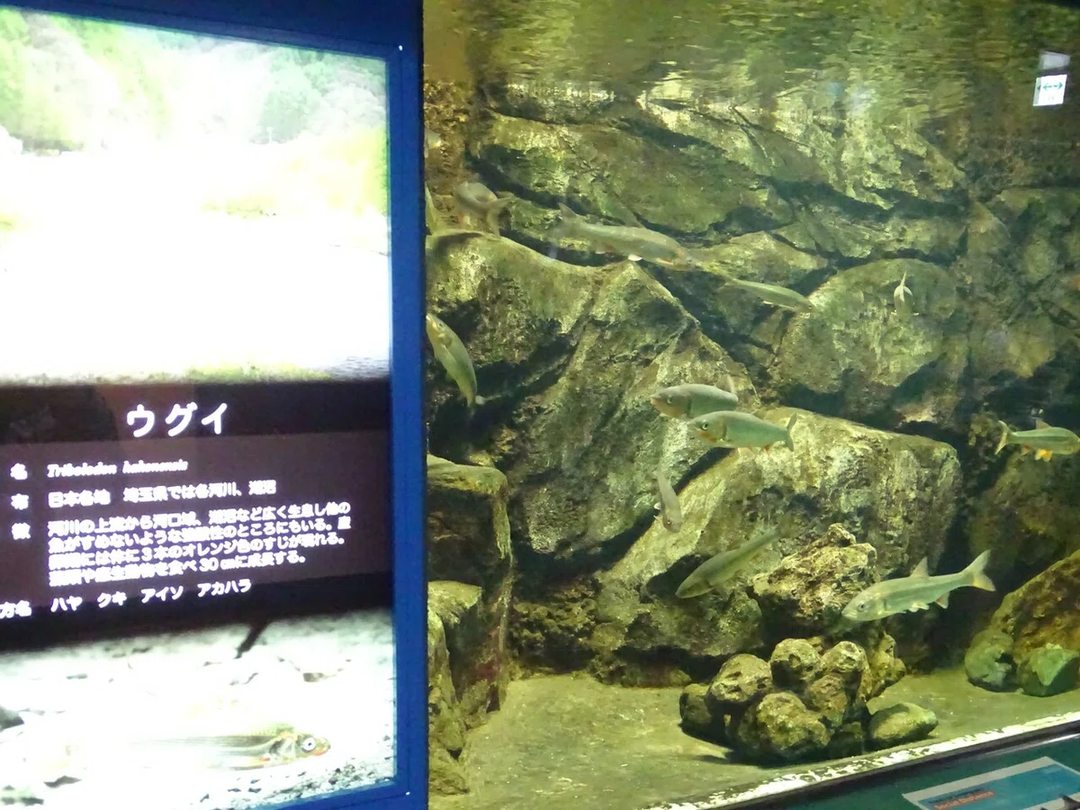 画像57