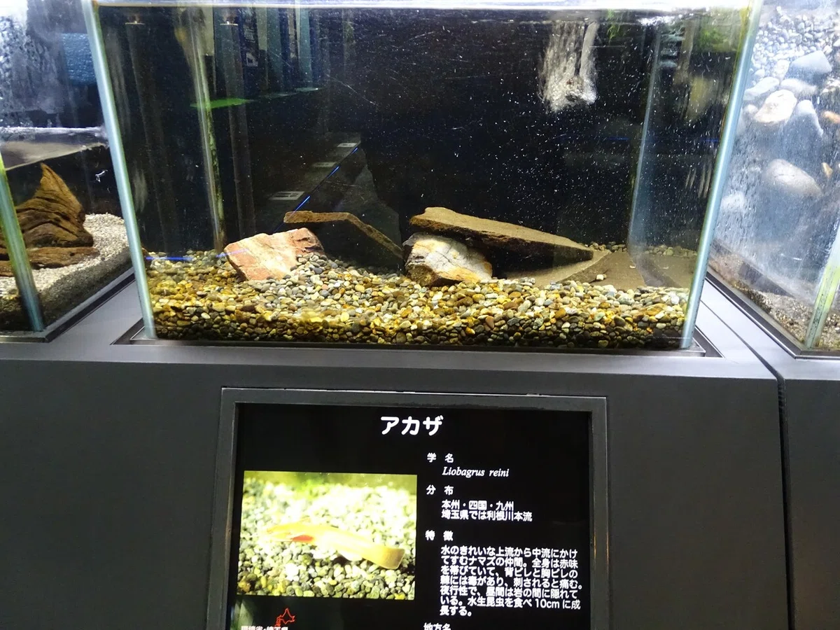 画像66