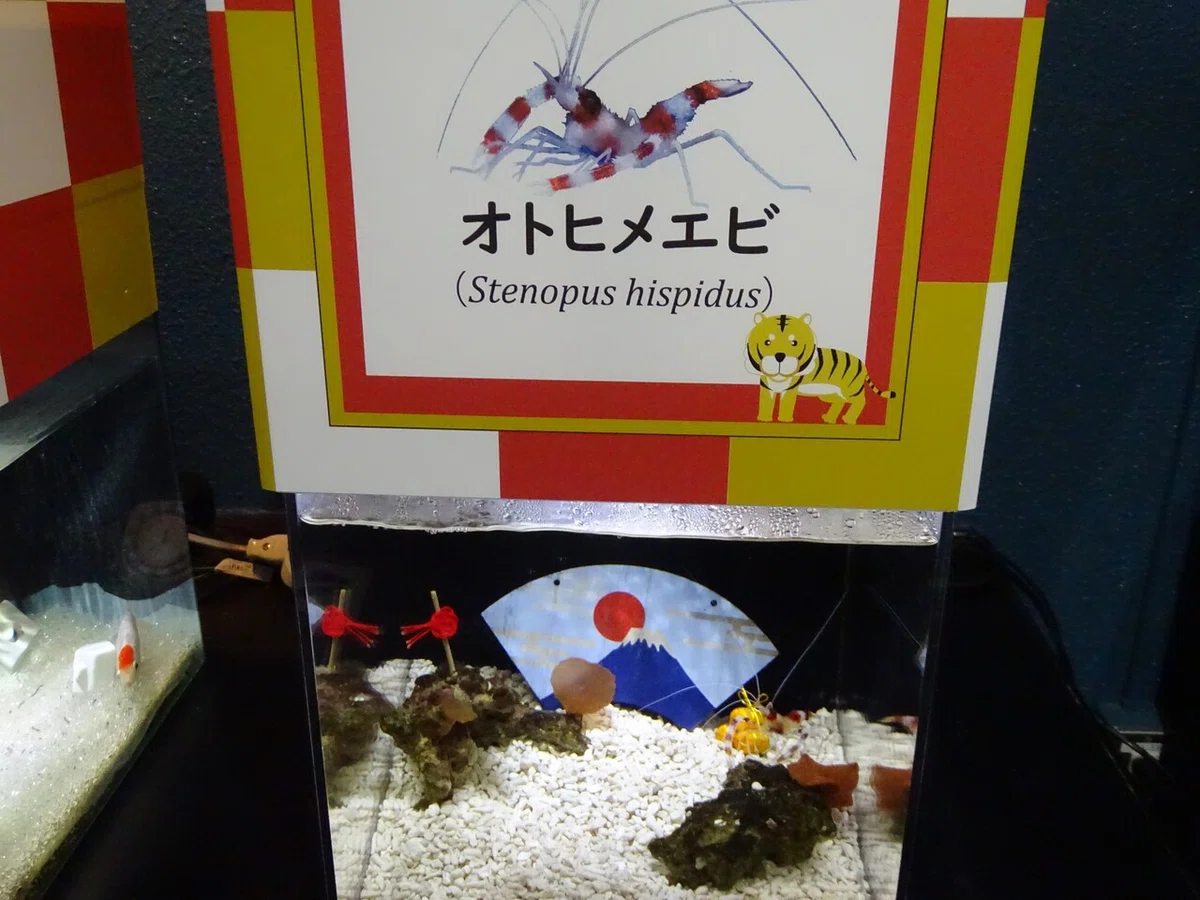 画像113