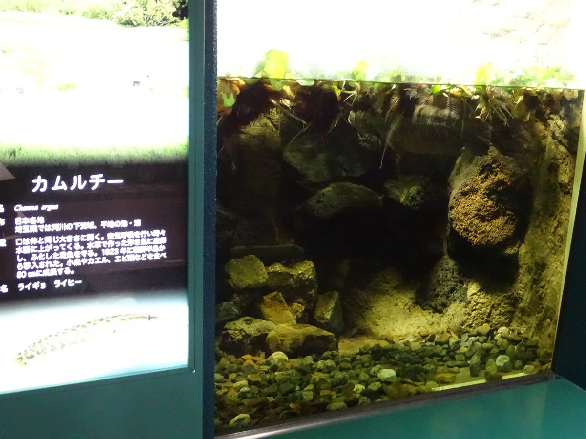 画像110