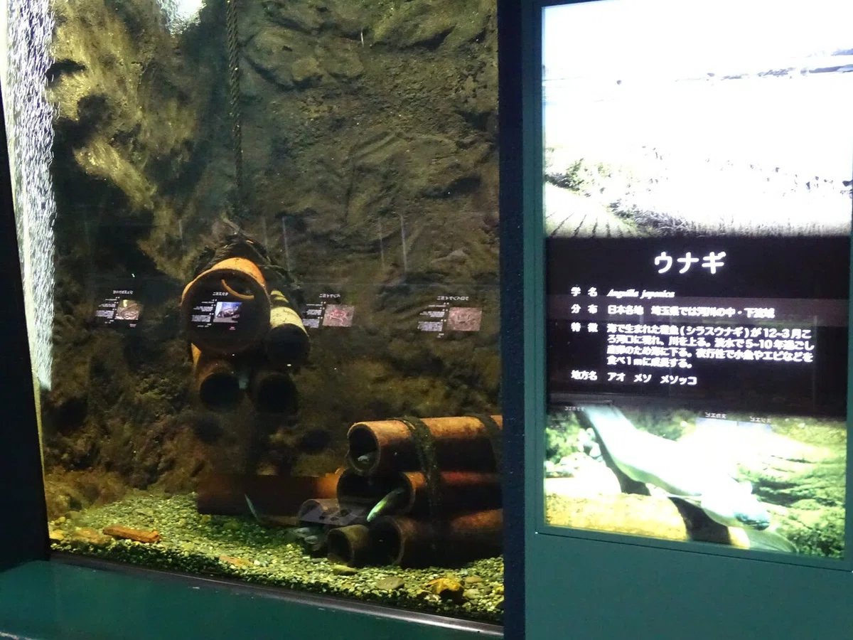 画像103