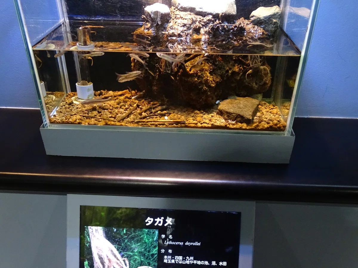 画像72