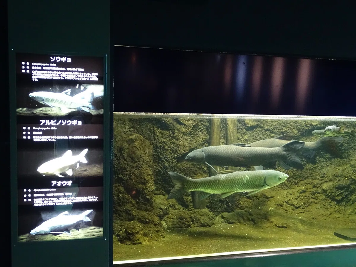画像81