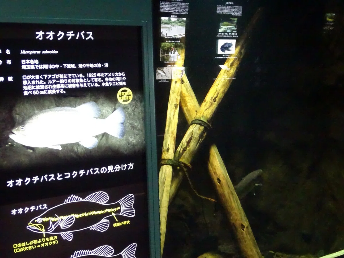 画像107