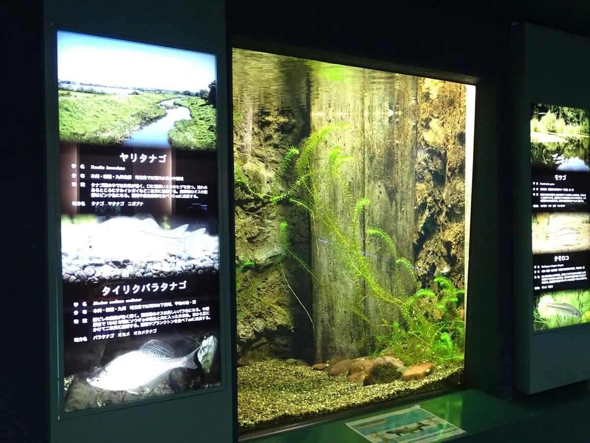 画像78