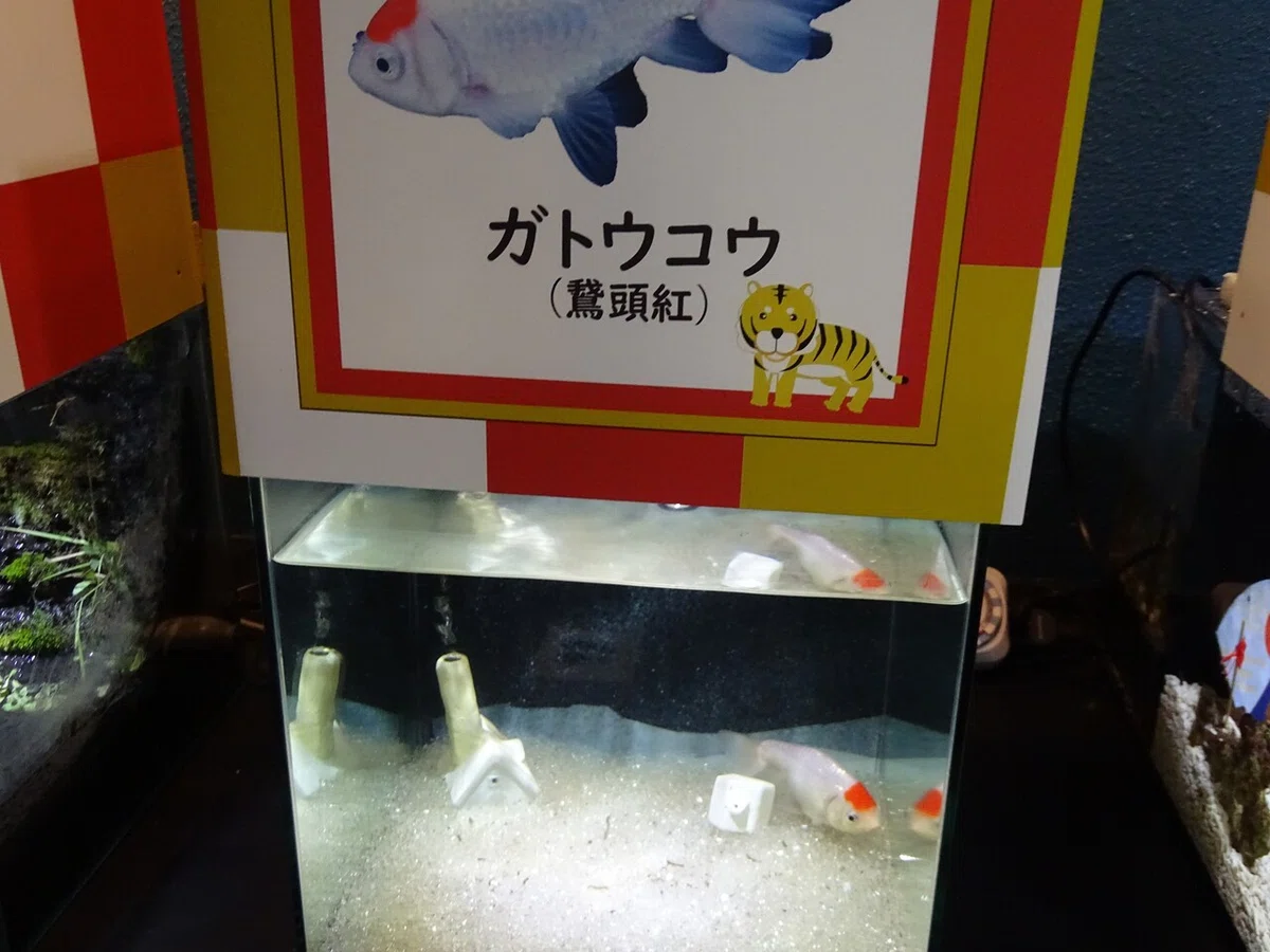 画像114