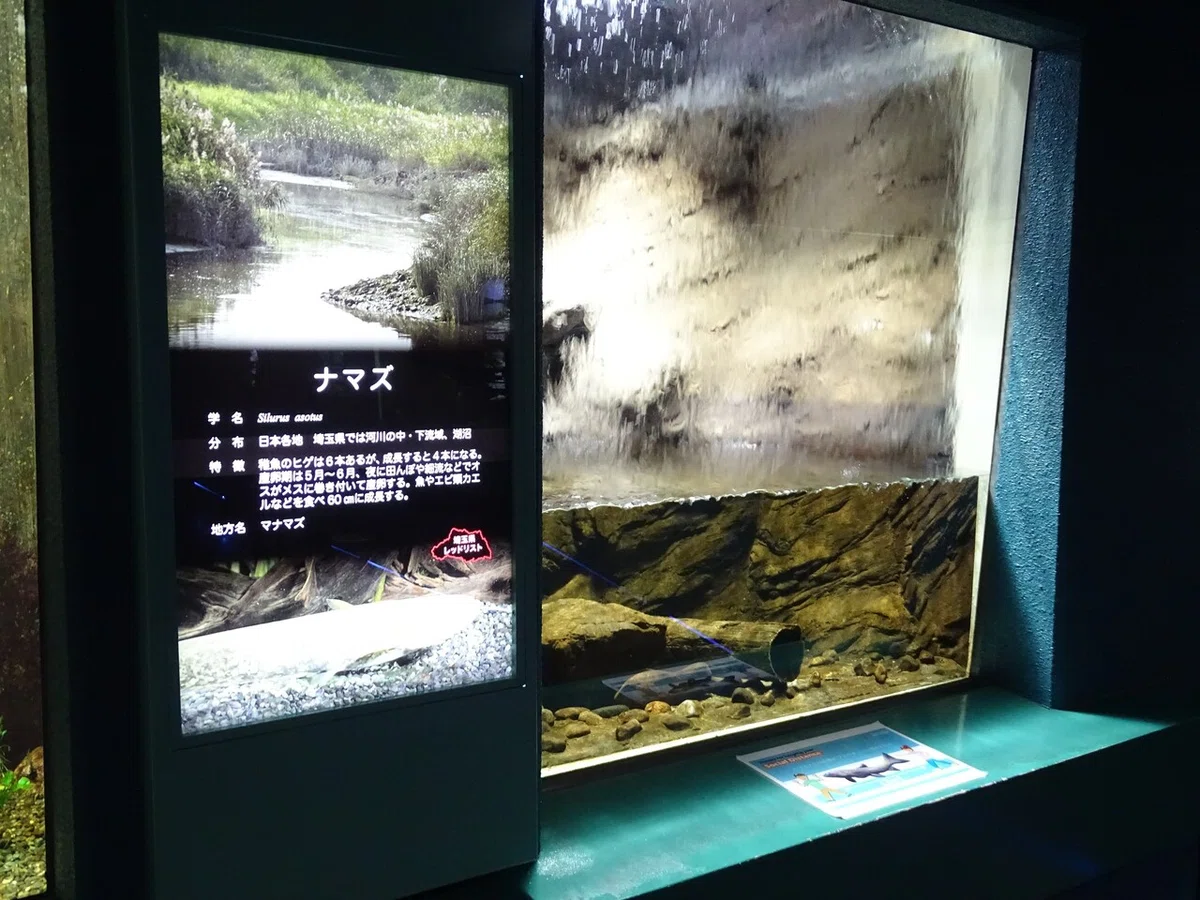 画像80