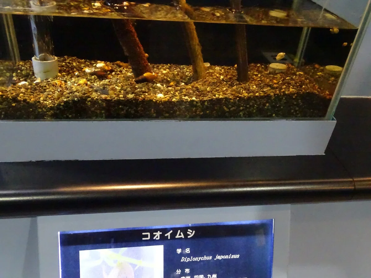 画像120