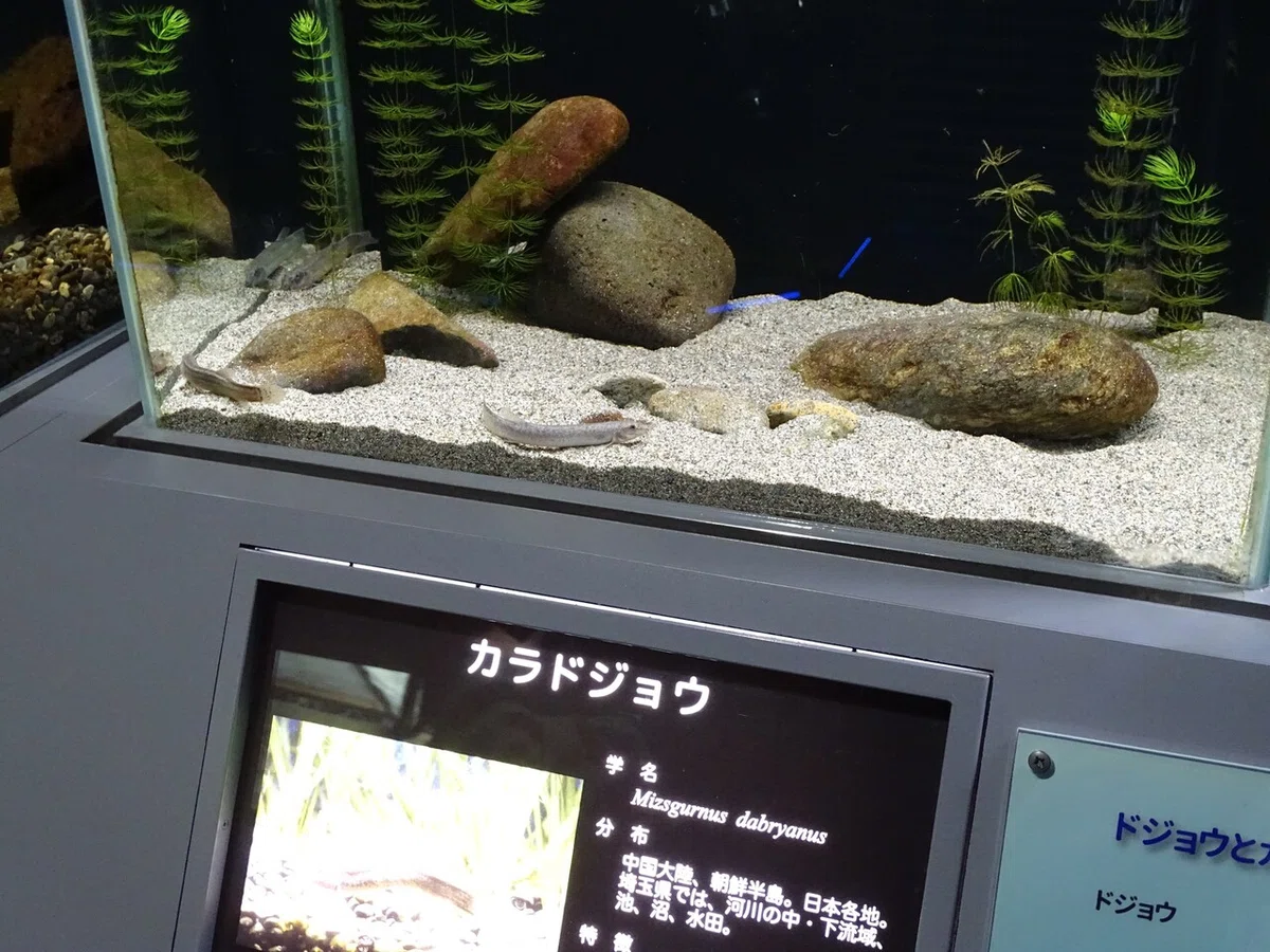 画像89