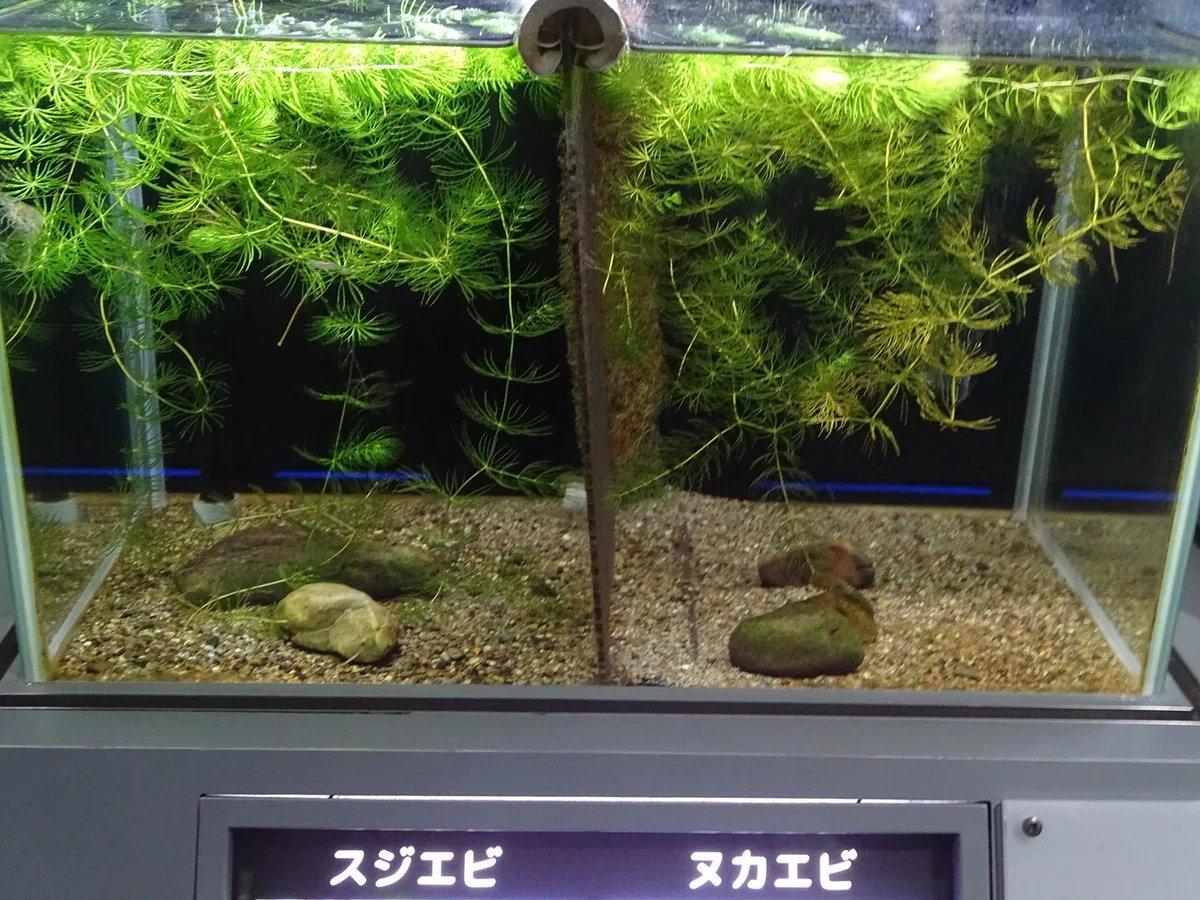 画像99