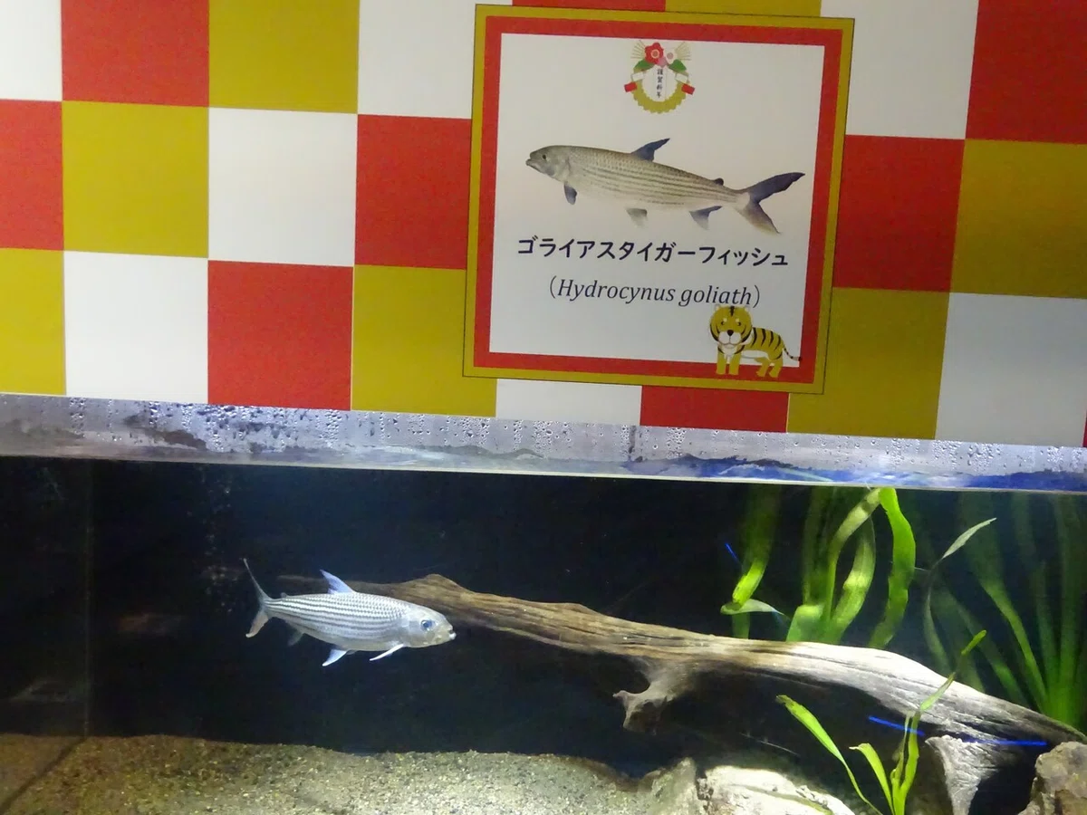 画像112