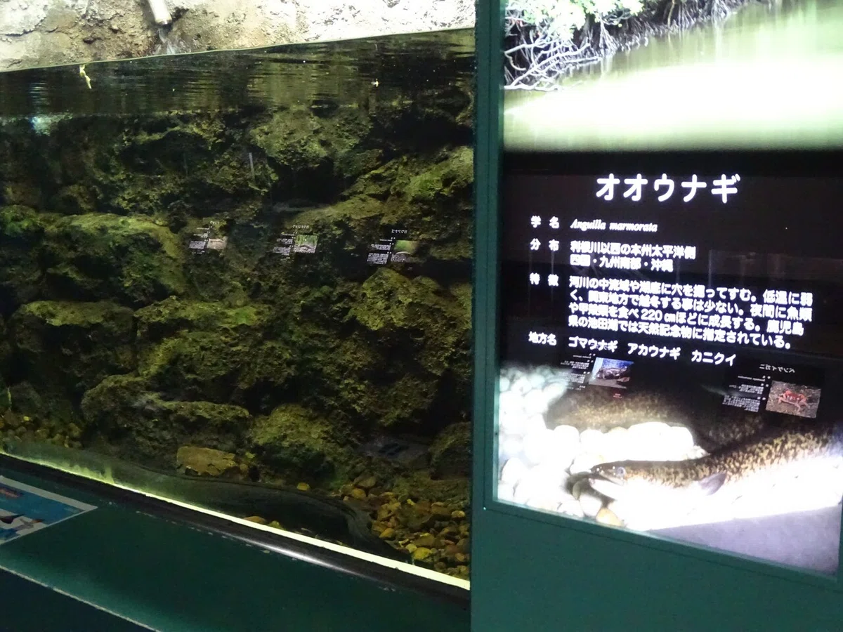 画像102