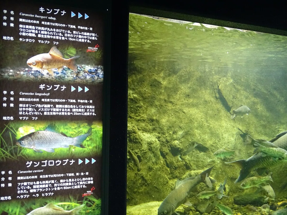 画像84