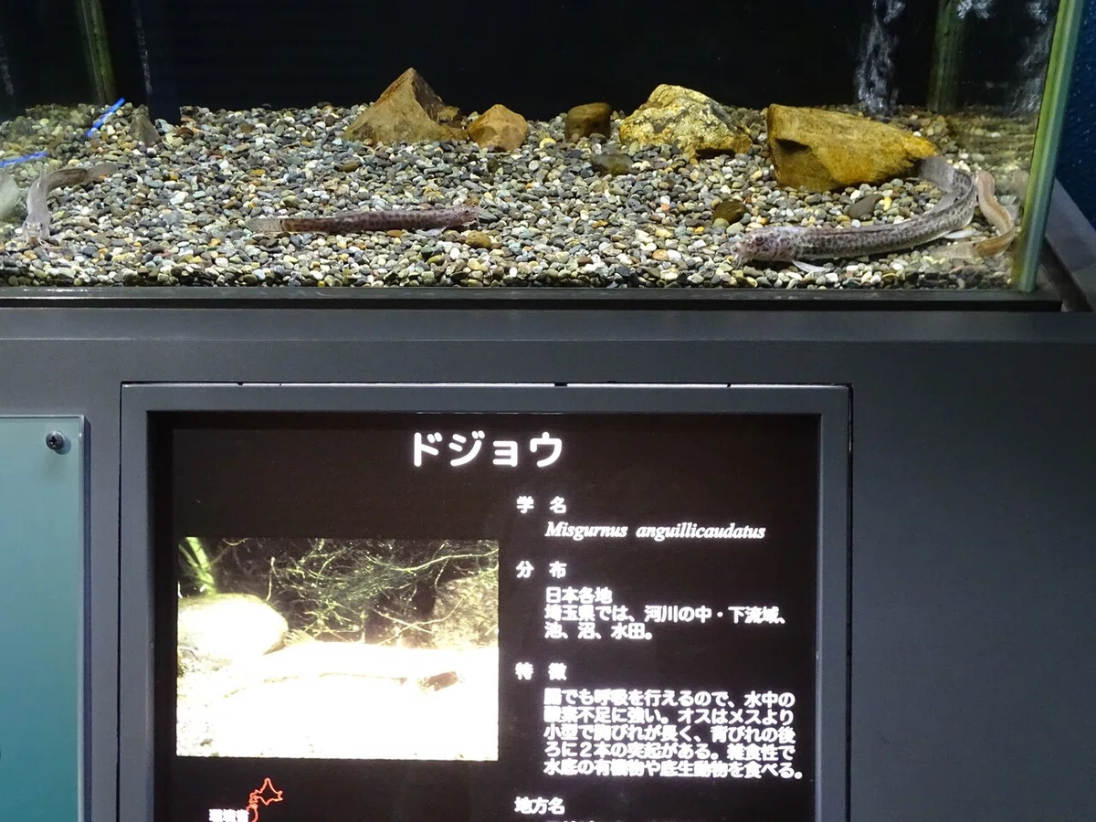 画像88
