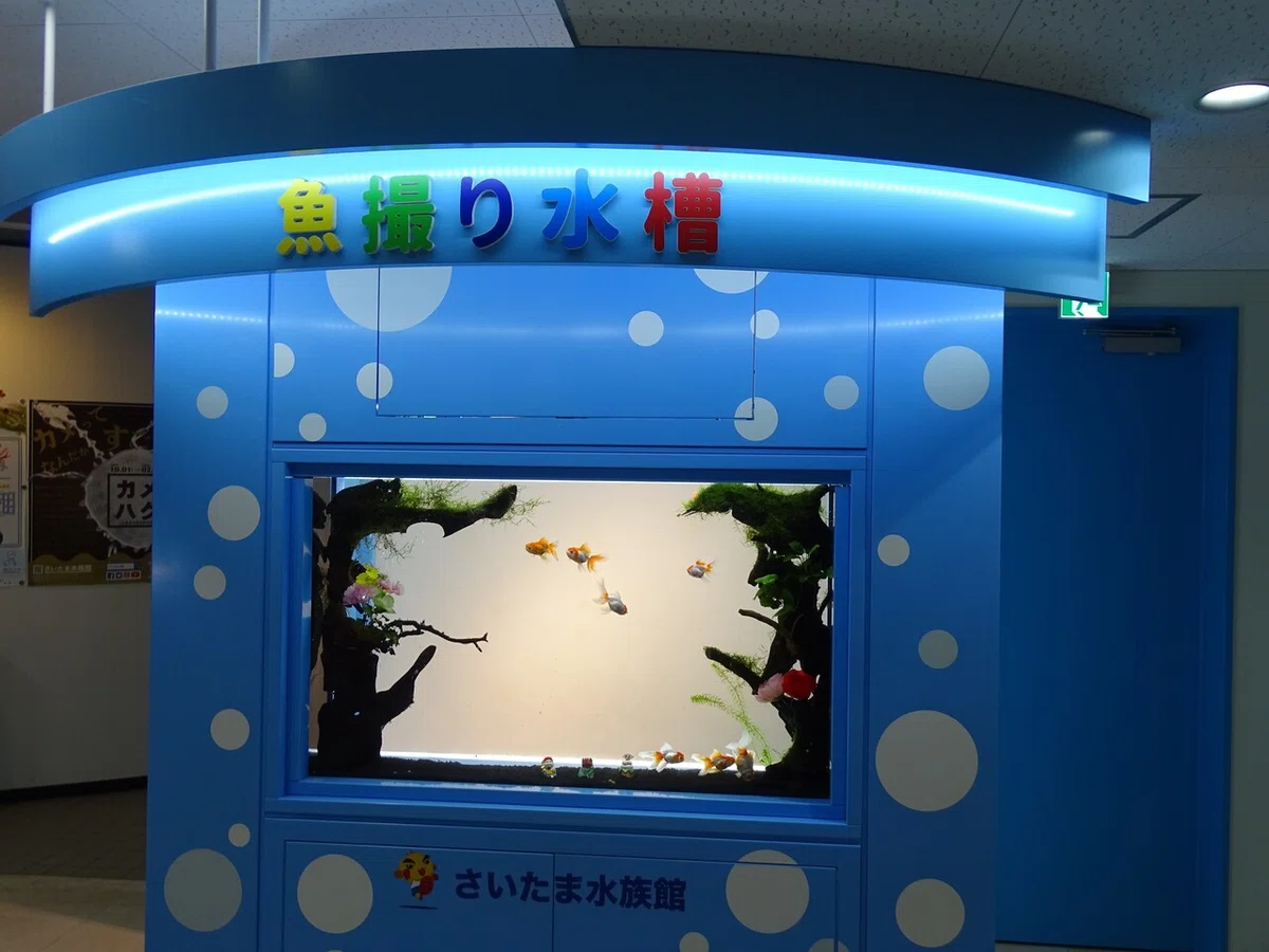 画像124
