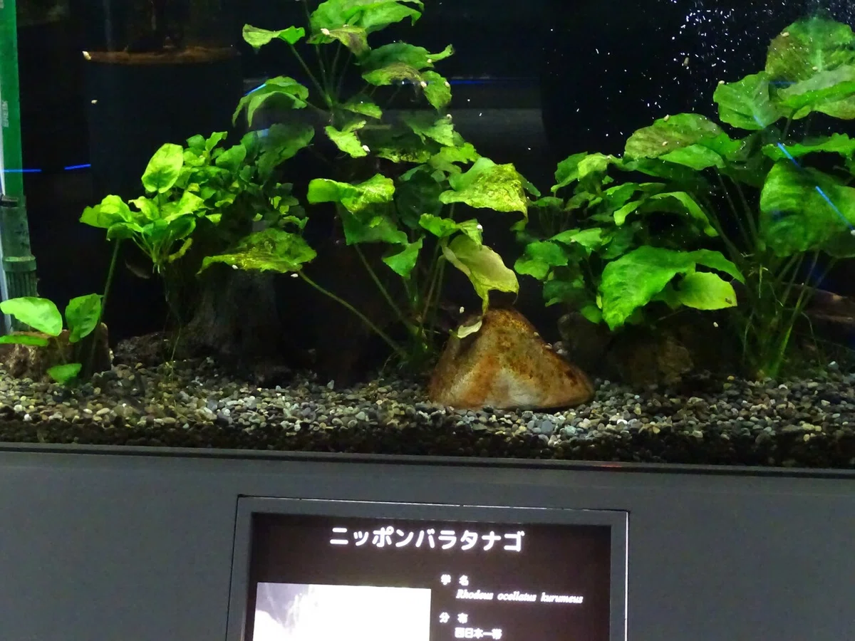 画像111