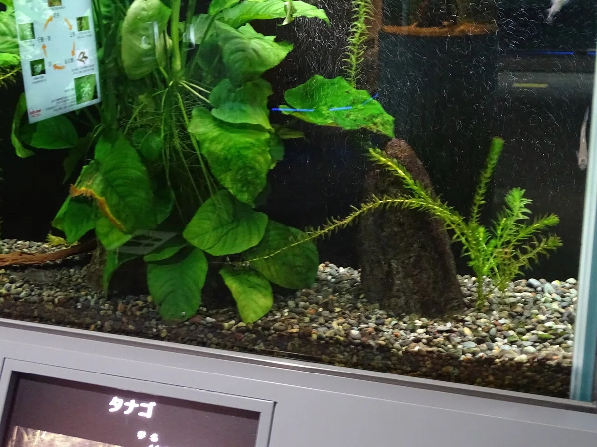 画像113