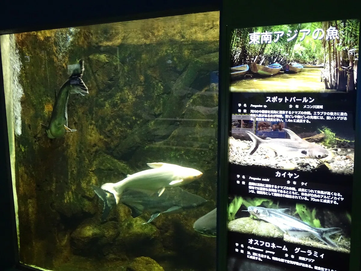 画像108
