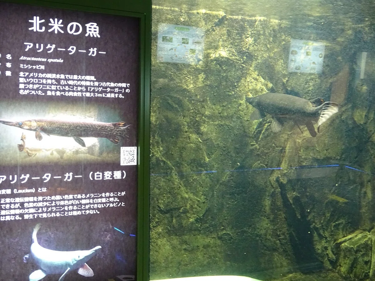 画像114