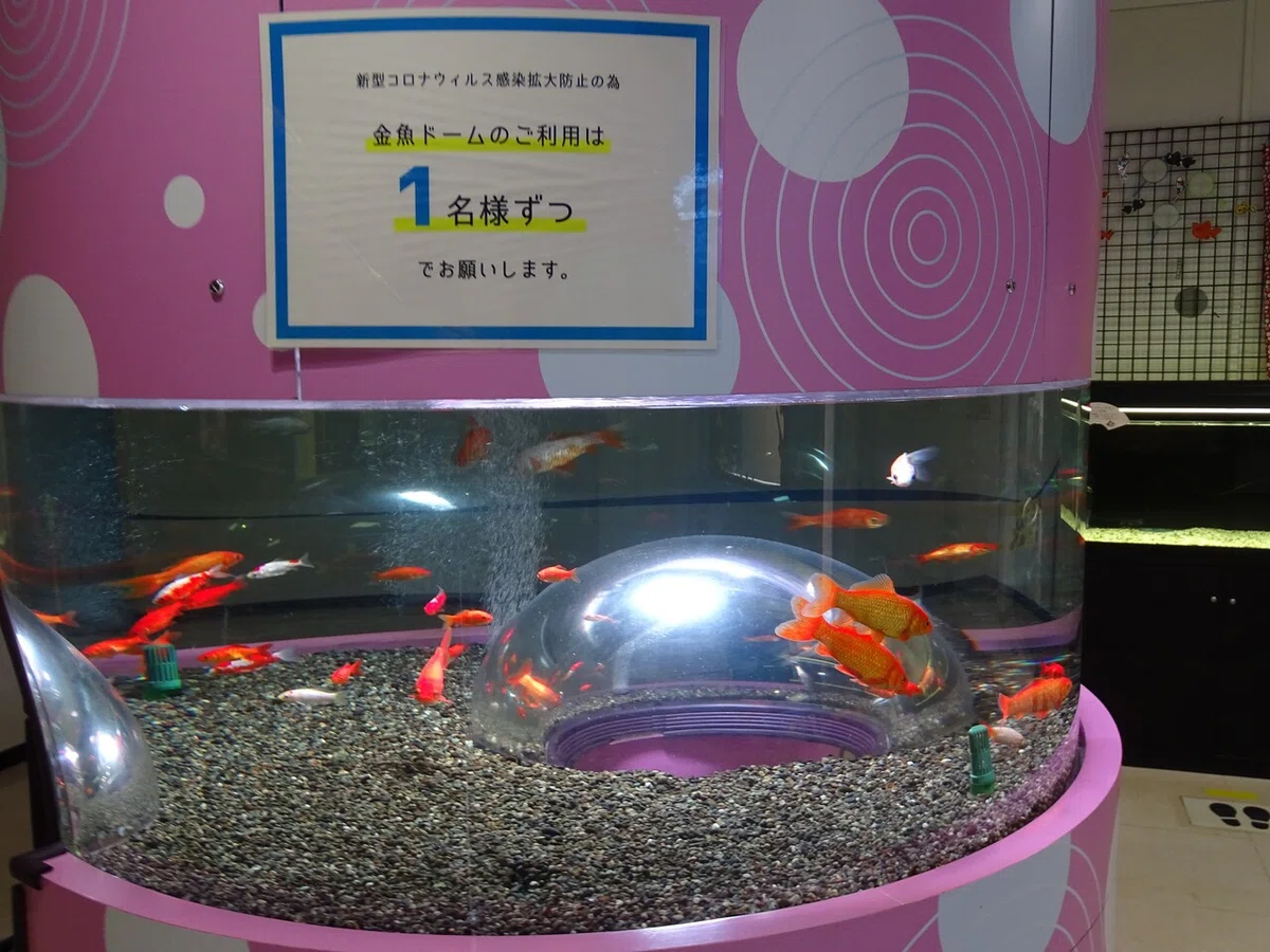 画像125