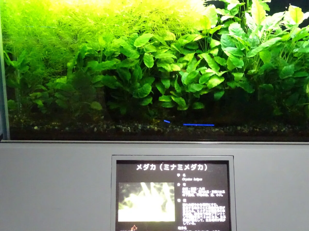 画像110