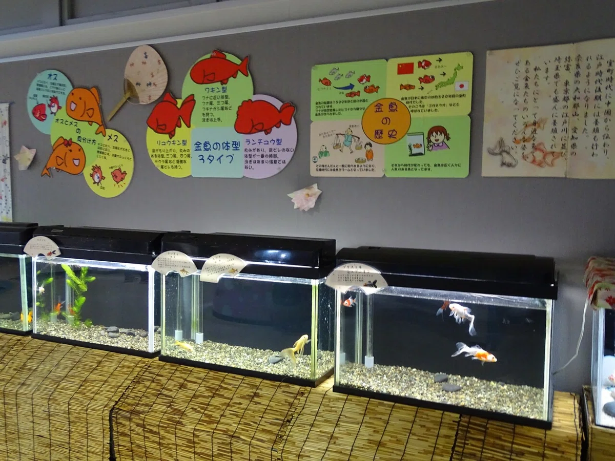 画像121