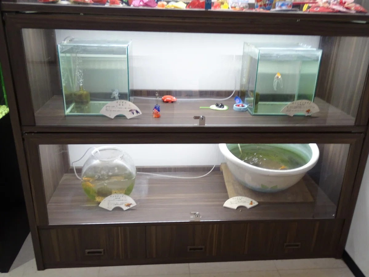 画像130