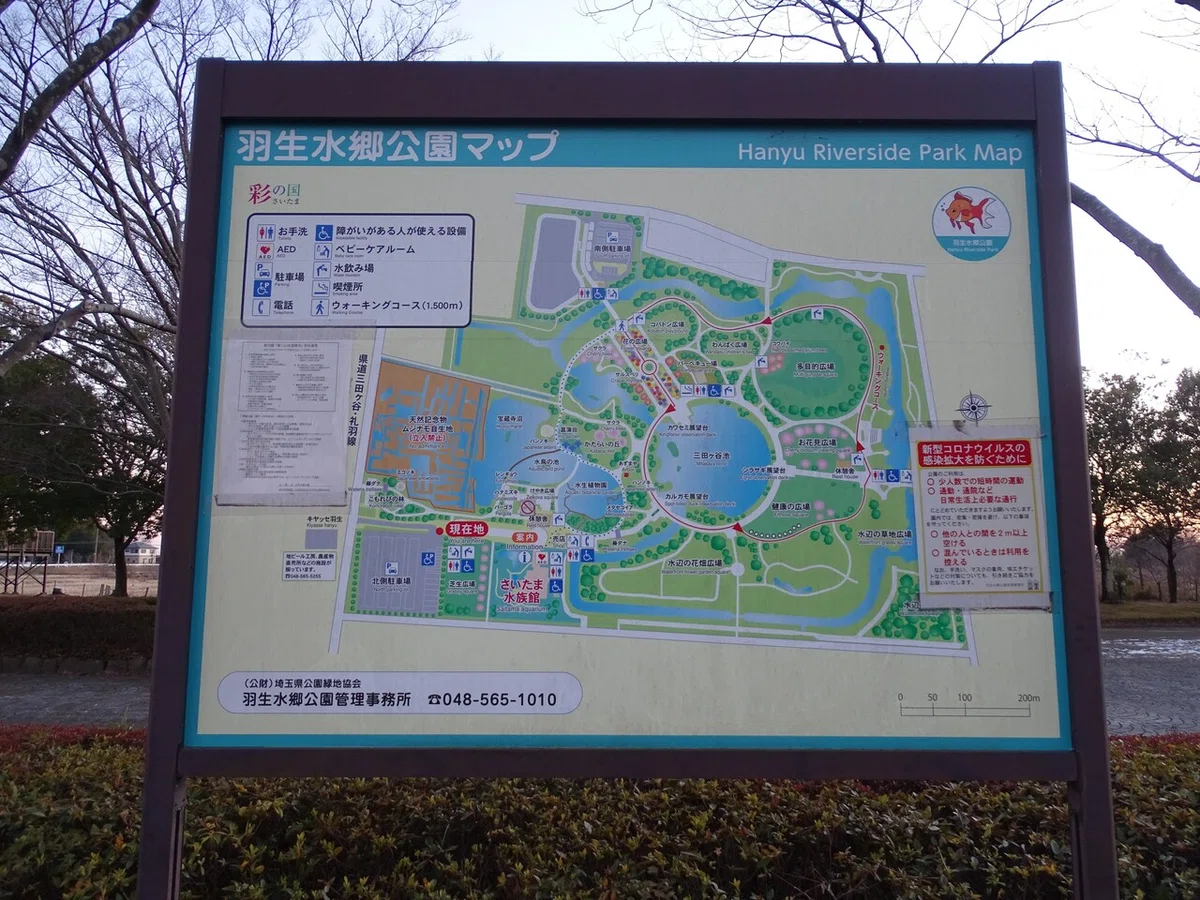 画像126