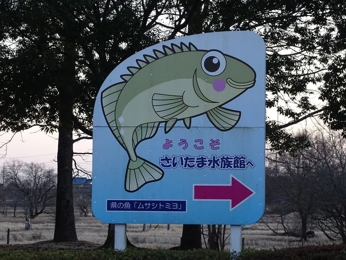 画像127