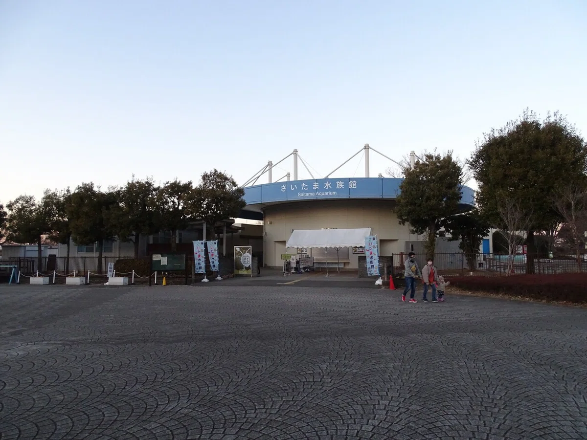 画像141