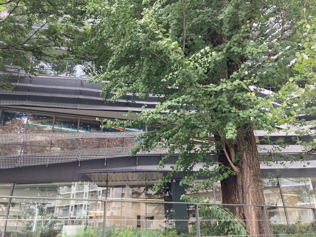 お茶の水女子大学編入試験合格までー狭き門を突破した戦略とはー Mayu Note