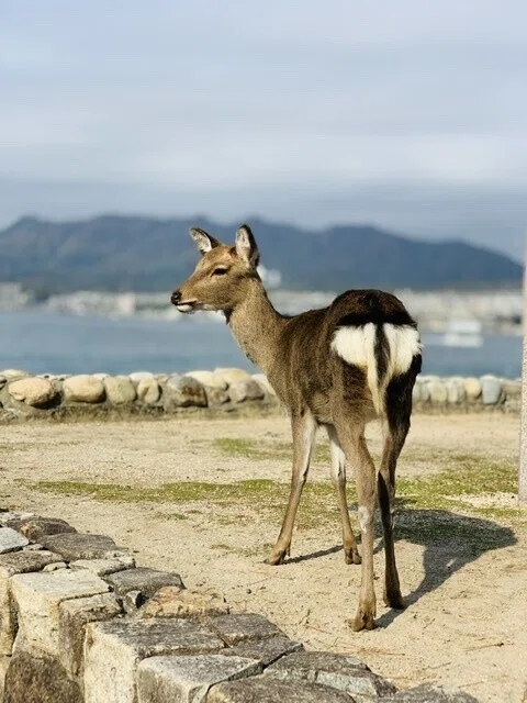 画像2