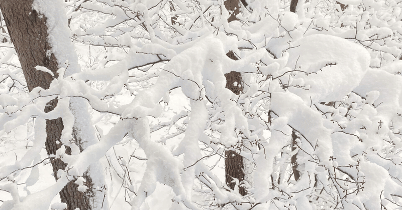 「軽井沢あるある《雪で注意すること》」の補足