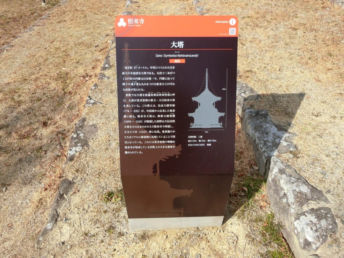 画像9