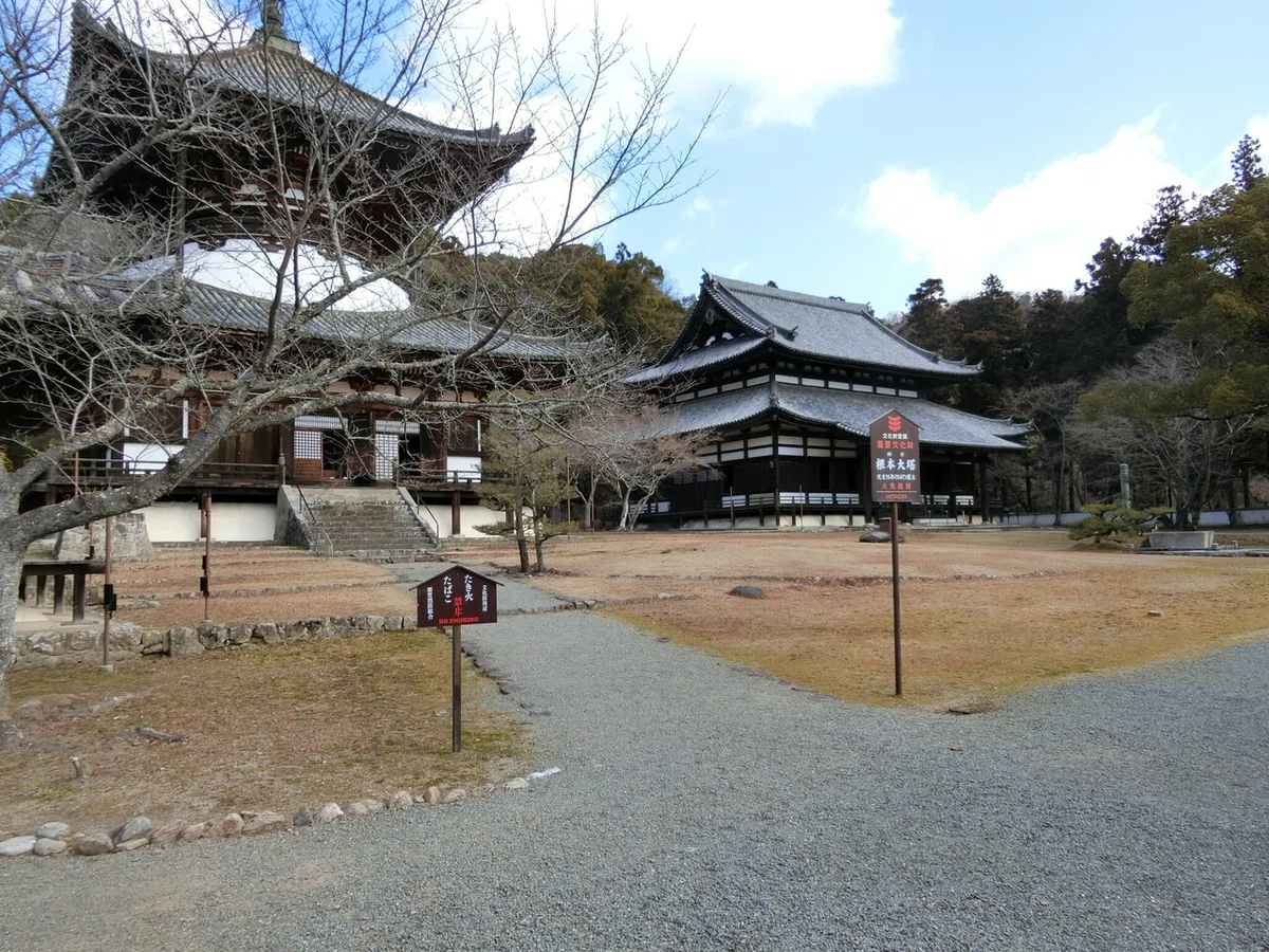 画像17