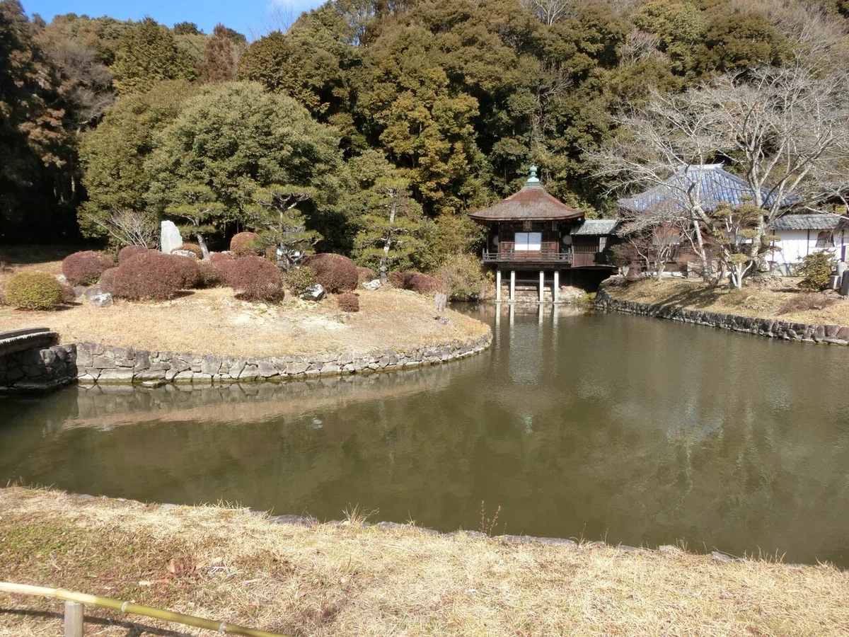 画像46