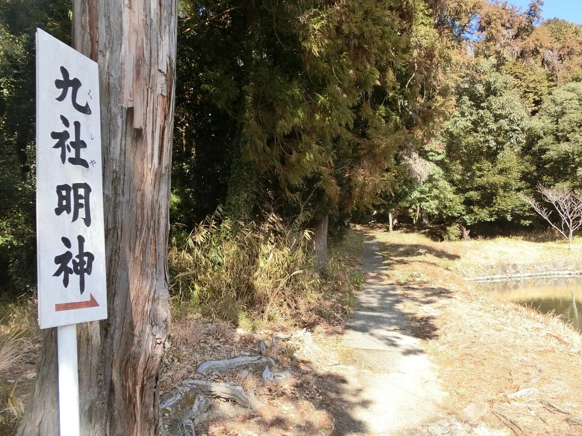 画像48
