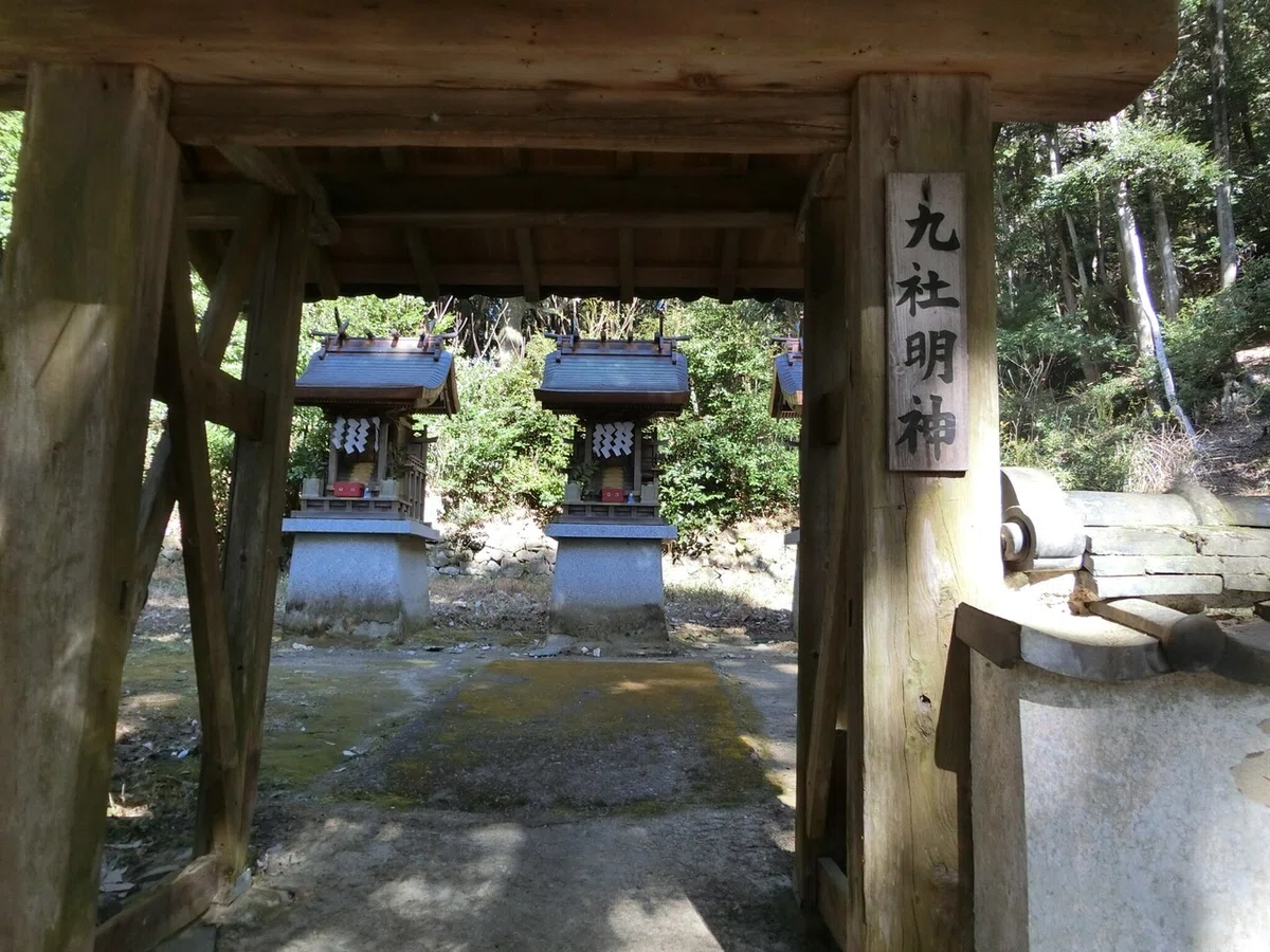 画像49