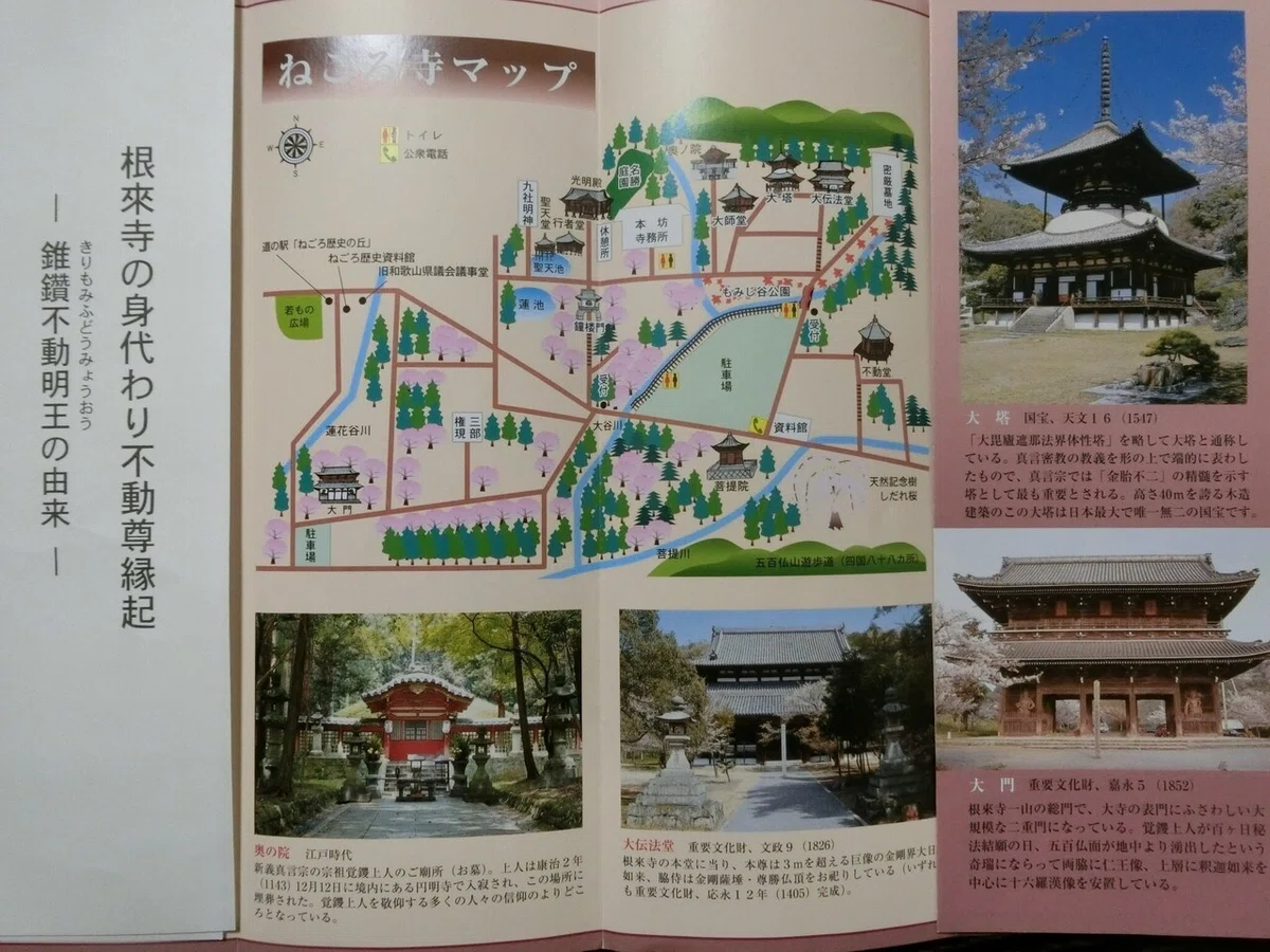 画像56