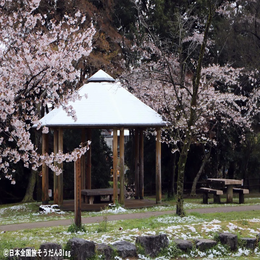 飯能 市 中央 公園